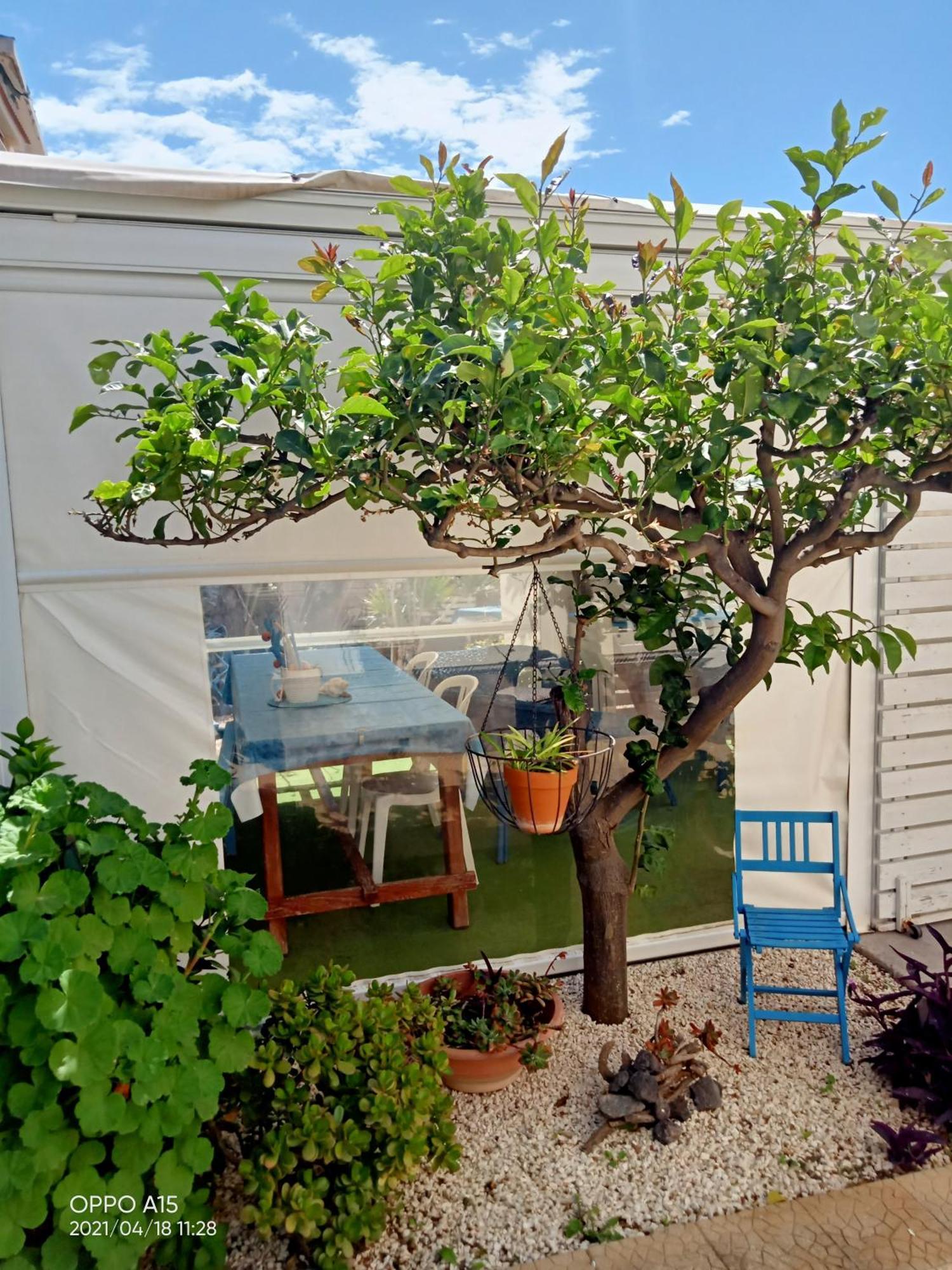 ריאלמונטה Villa Scavuzzo מראה חיצוני תמונה
